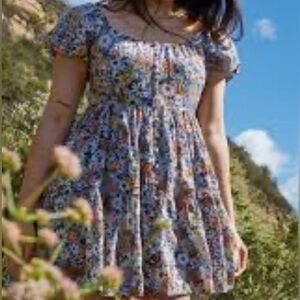 American Eagle Outfitters Women’s Floral Mini Dress – Size Small